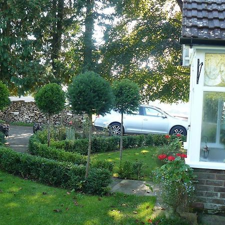 Forest View B&B Landford Екстериор снимка