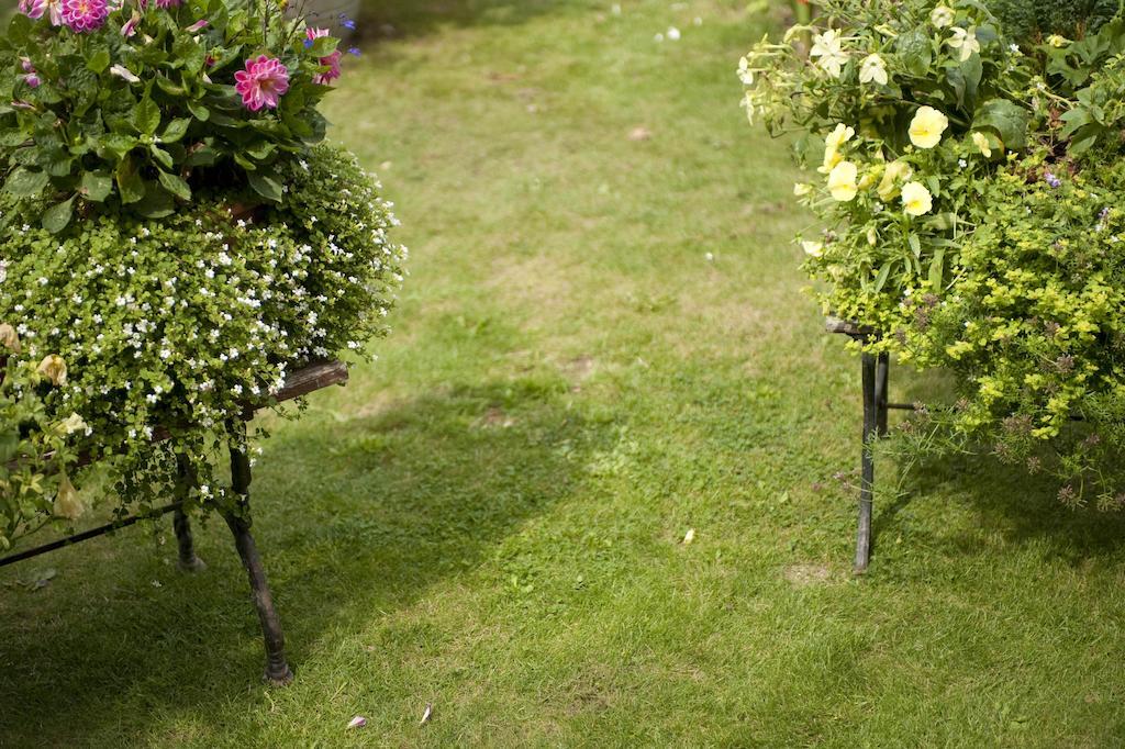 Forest View B&B Landford Екстериор снимка